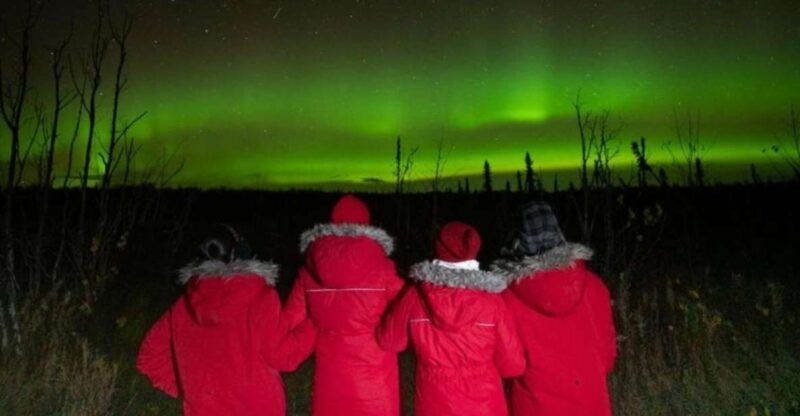 Anchorage: Nighttime Northern Lights Tour - A Detailed Look at the Anchorage Northern Lights Experience