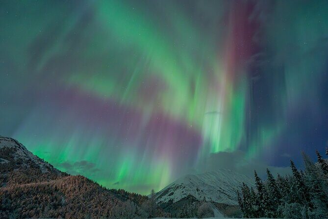 Anchorage Northern Lights Tour - Key Points