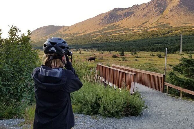 Anchorage Scenic Mountain Bike Tour - Who Will Love This Tour?