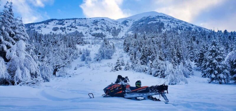 Anchorage: Snowmobile Adventure with Transportation - FAQs