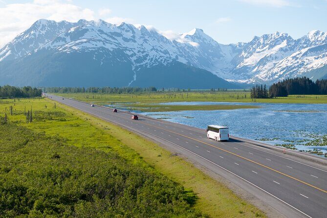 Anchorage to Seward Direct Transfer Tour - Key Points