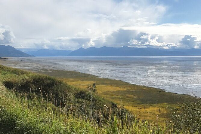 Anchorage to Seward Direct Transfer Tour - The Sum Up