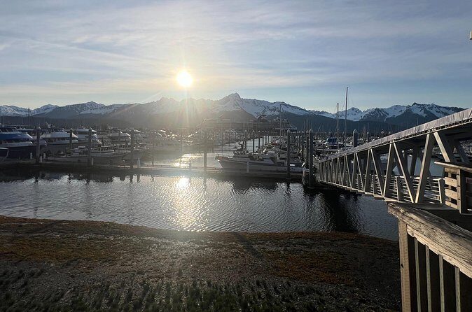 Anchorage to Seward Private Transfer - Final Thoughts: Who Should Book This?