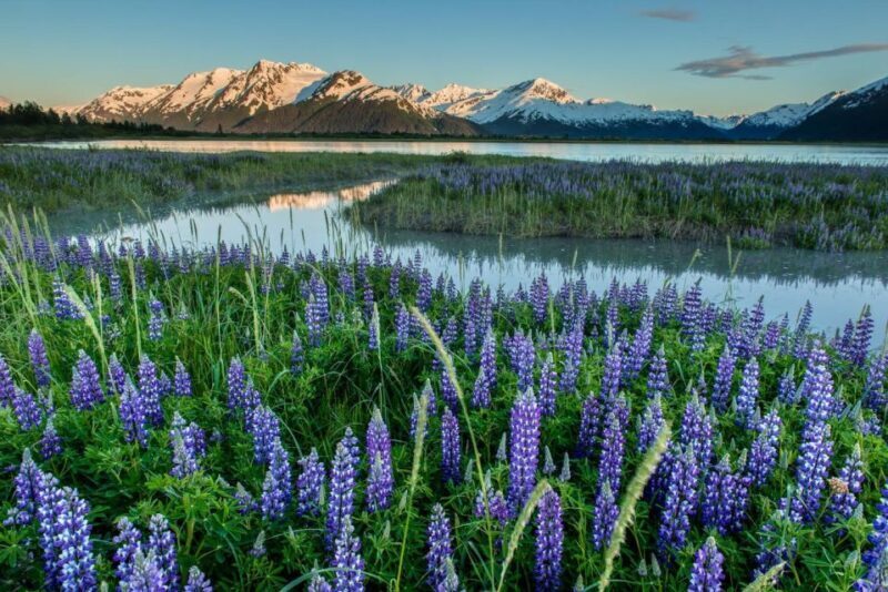 Anchorage: Turnagain Arm Highlights Photography Day Trip - A Typical Day on the Tour
