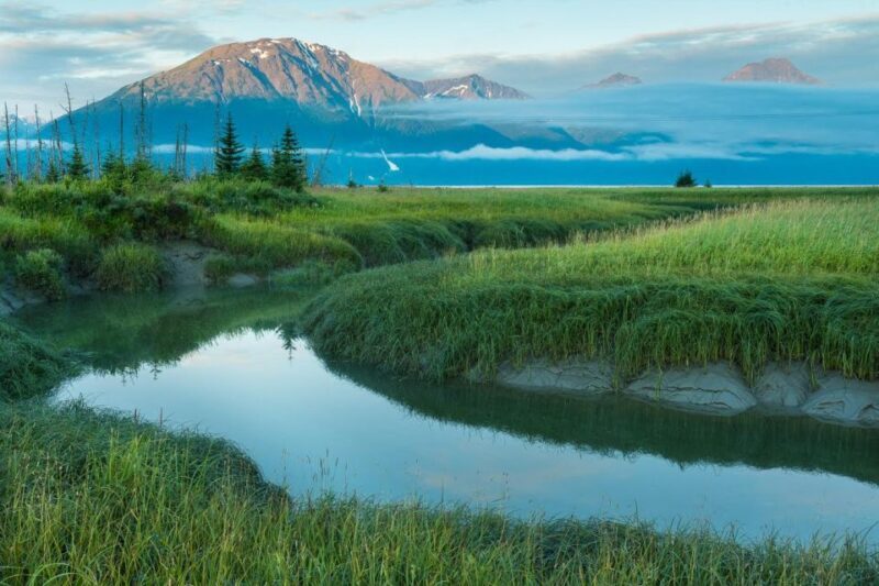 Anchorage: Turnagain Arm Highlights Photography Day Trip - Authenticity and Value