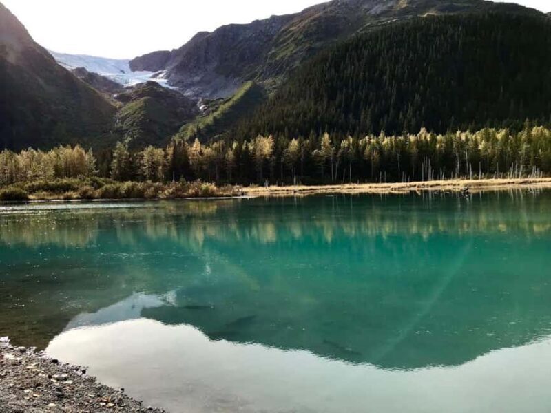 Anchorage: Wildlife, Glacier, and Wine Tasting Tour - FAQs