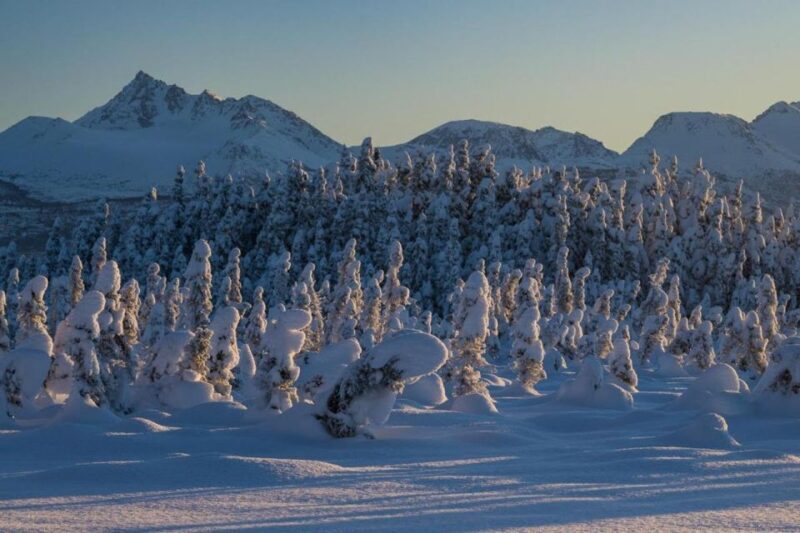 Anchorage: Winter Wonderland Photo Tour - Practical Details and Comforts
