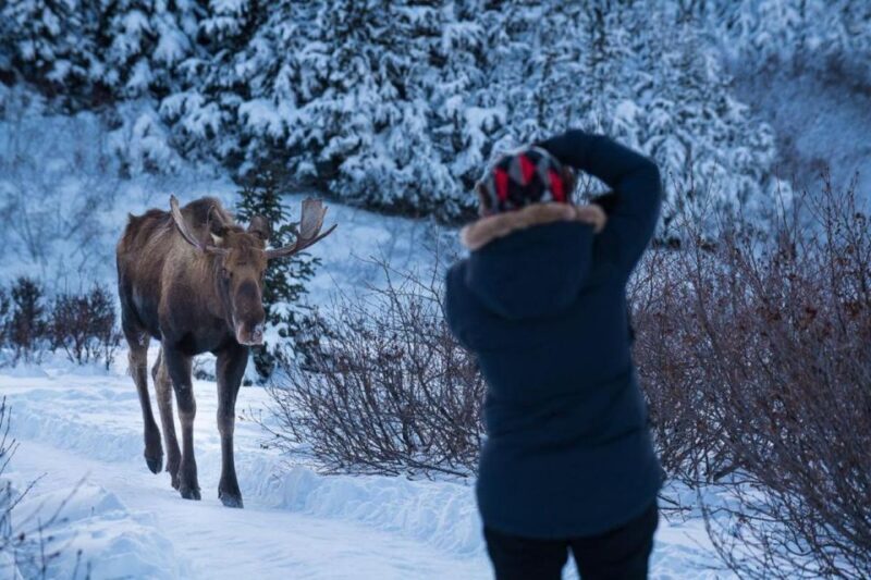 Anchorage: Winter Wonderland Photo Tour - Who Should Consider This Tour?