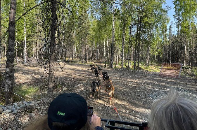 Anchorage's Authentic Dog Sledding Experience - What’s Included and the Experience Value