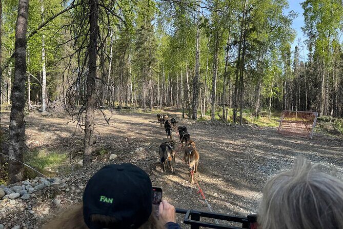 Anchorage's Authentic Dog Sledding Experience - Who Would Enjoy This Tour?