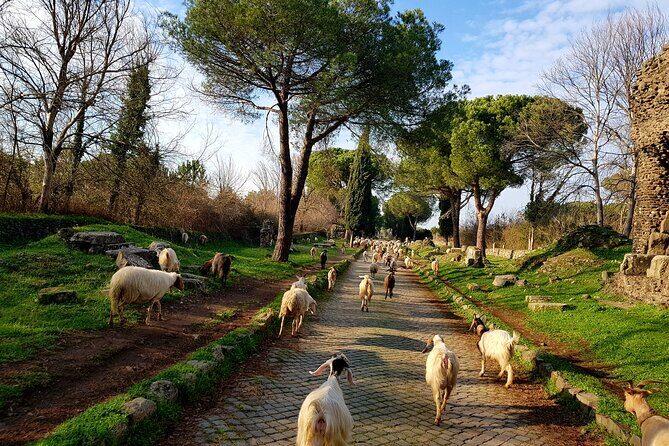 Ancient Appian Way and Roman Countryside E-Bike Tour - What’s Included and What’s Not
