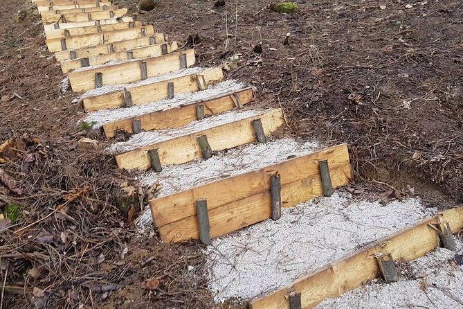 Ancient Bosnian Pyramid of the Sun - The Sum Up: Is This Tour Right for You?