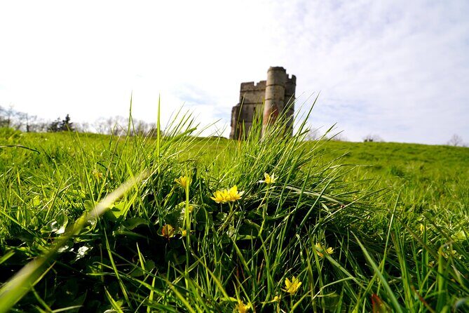 Ancient Britain: Sacred forests, Neolithic burials and UFO sights - Who This Tour Is Best For