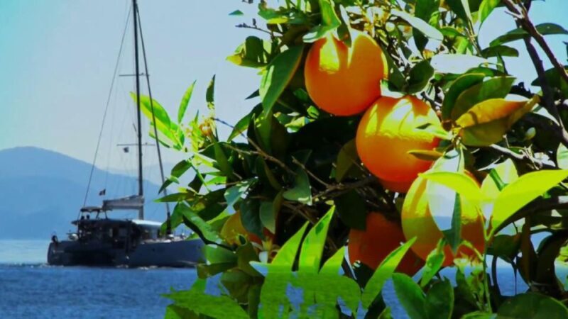 Ancient Corinth, Mycenae & snorkelling in sunken city - Who Will Love This Tour?