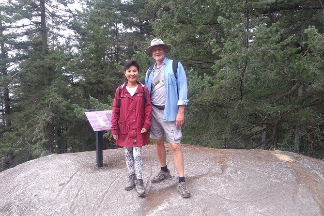 Ancient Forest , Waterfalls and Stunning Vistas Day Tour - Analyzing the Experience and Value