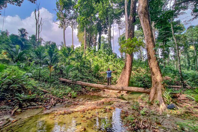 Ancient Lava Stream Trek through dense Tropical forest. - A Deeper Look at the Ancient Lava Stream Trek