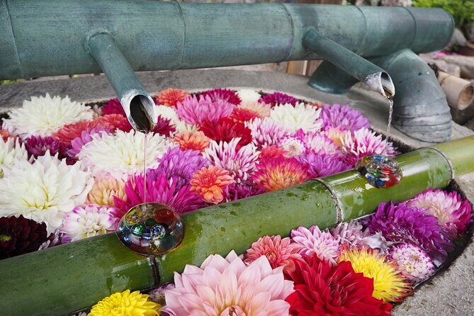 Ancient Nara Walking and Cycling Tour in Asuka - An In-Depth Look at the Asuka Tour Experience