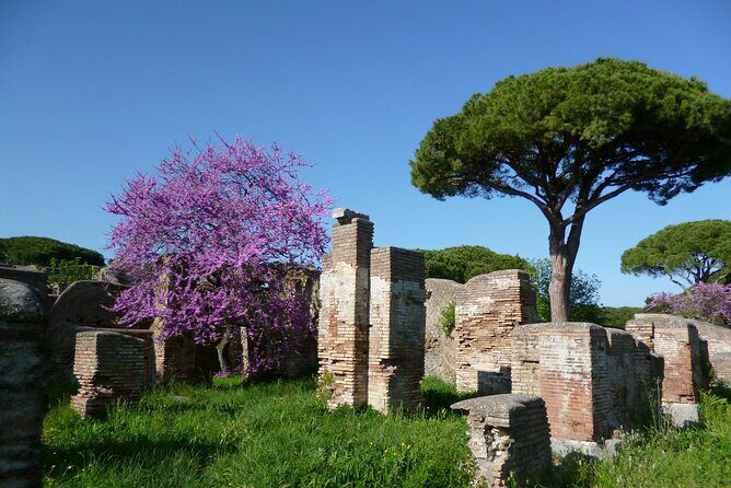 Ancient Ostia Full Day Tour with Pick Up - FAQ