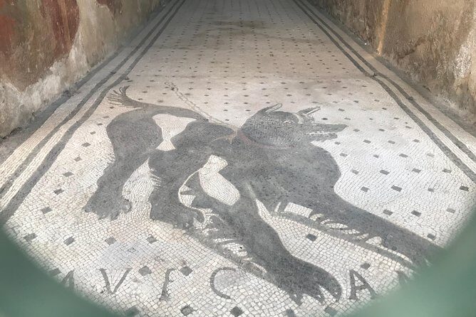 Ancient Pompei in the afternoon - The Sum Up: Why This Tour is a Great Choice