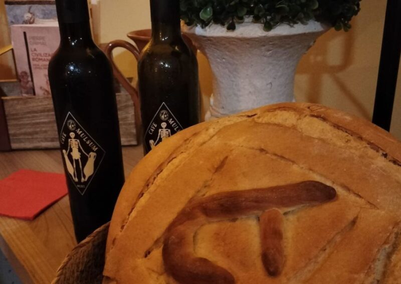 Ancient Rome gastronomic experience - wine tasting - A Deep Dive Into the Roman Gastronomic Tour