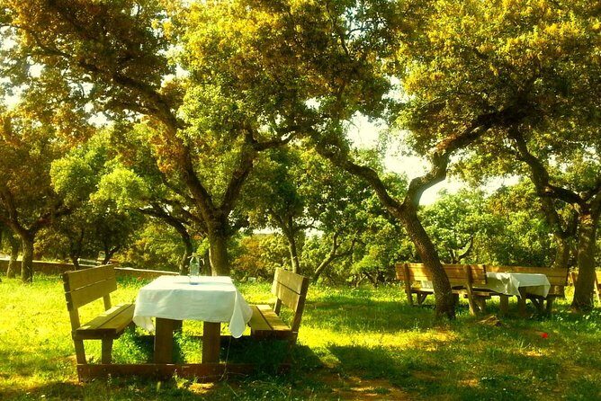 Andalucia Bull and Horse Farm and Ronda Private Tour from Malaga - Key Points