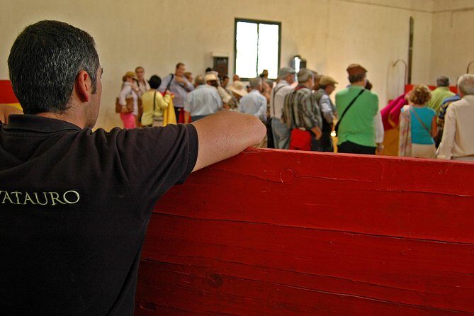 Andalucia Bull and Horse Farm and Ronda Private Tour from Malaga - The Charm of Ronda