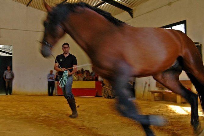 Andalucia Bull and Horse Farm and Ronda Private Tour from Malaga - Authentic Experiences and Authenticity