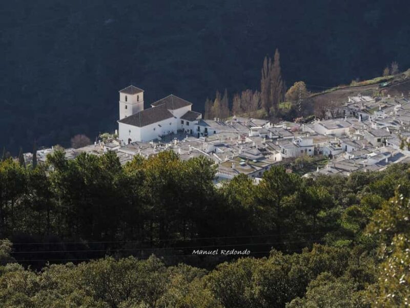 Andalusia Guided Tour with Local Guide - Who Should Consider This Tour?