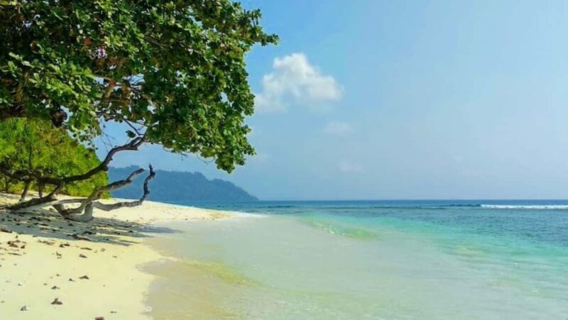 Andaman Adventure with Scuba Diving - 3 Nights 4 Days - Why This Tour Stands Out