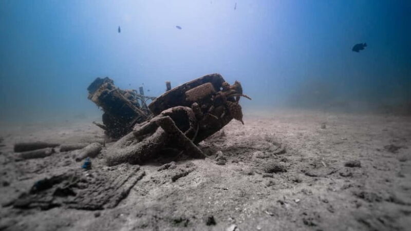 Andaman: Havelock Scuba Diving by PADI 5-Star Dive Center - Experience the Underwater World of Havelock Island for Just $68