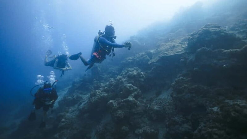 Andaman: Havelock Scuba Diving by PADI 5-Star Dive Center - Key Points