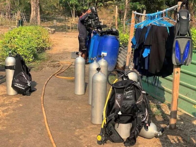 Andaman Islands: Scuba Diving Tour - Key Points