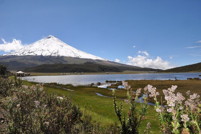 Andean Adventure : Riding and Cotopaxi Refuge - Experience Ecuador’s Highlands on the Andean Adventure: Riding and Cotopaxi Refuge