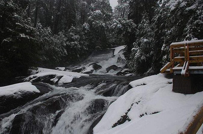 Andean Lakes Crossing Journey from Puerto Varas to Bariloche - Who Will Love This Tour?