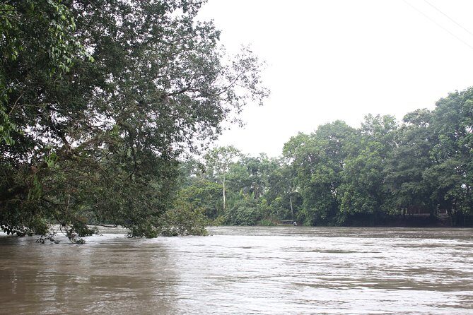 Andes & Amazon, the Triangle Route 5 Days / 4 Nights (PRIVATE Trip from Quito) - FAQ