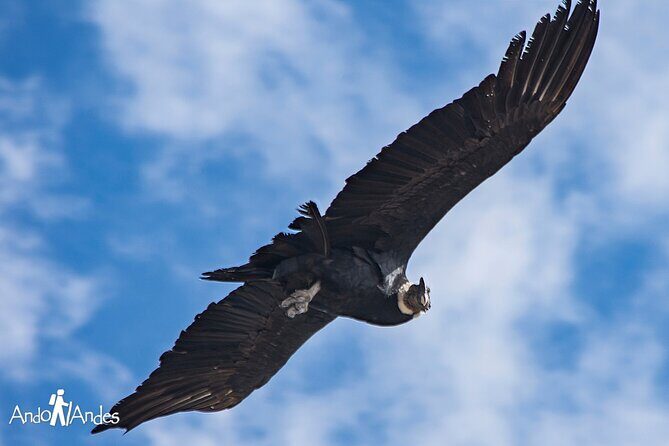 Andes Day Volcano 8K - Cajón del Maipo - The Itinerary in Detail