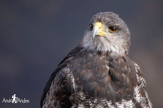 Andes Day Volcano 8k Private Tour - Frequently Asked Questions