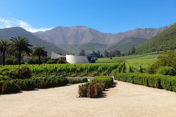 Andes Portillo & Aconcagua Premium vineyard tasting semi private - Starting Point: Viña Errázuriz in the Aconcagua Valley
