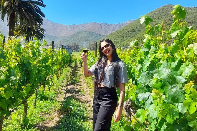 Andes Portillo & Aconcagua Premium vineyard tasting semi private - Laguna del Inca: The Mountain Jewel