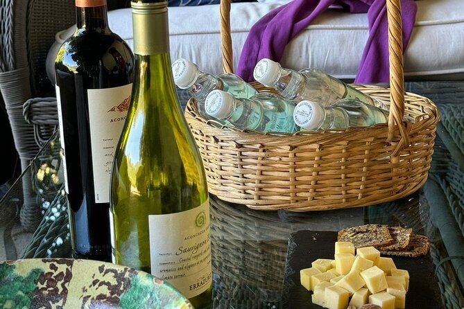 Andes Portillo & Aconcagua Premium vineyard tasting semi private - Final Thoughts: Who Will Love This Tour?