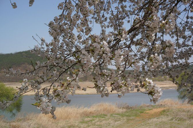 Andong Hahoe Folk Village [UNESCO World Heritage] Private Tour from Seoul - Who Will Enjoy This Tour?