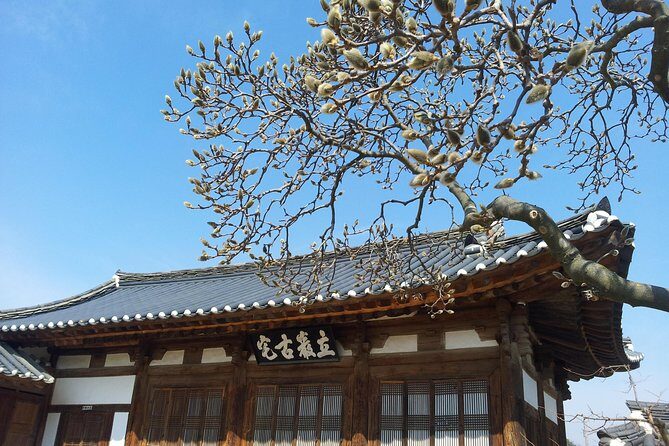 Andong Hahoe Village [UNESCO site] Premium Private Tour from Seoul - Authentic Experiences and Authenticity