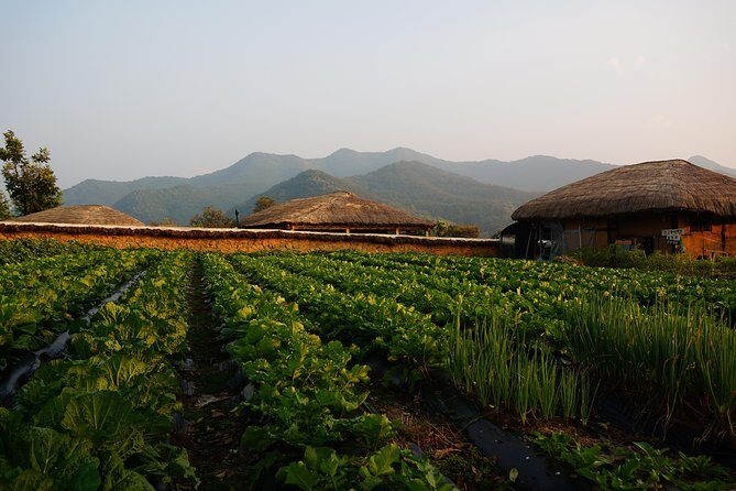 Andong Hahoe Village [UNESCO site] Premium Private Tour from Seoul - FAQ