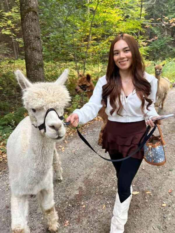 Andover, VT: Alpaca Interaction and Walk Experience - FAQ