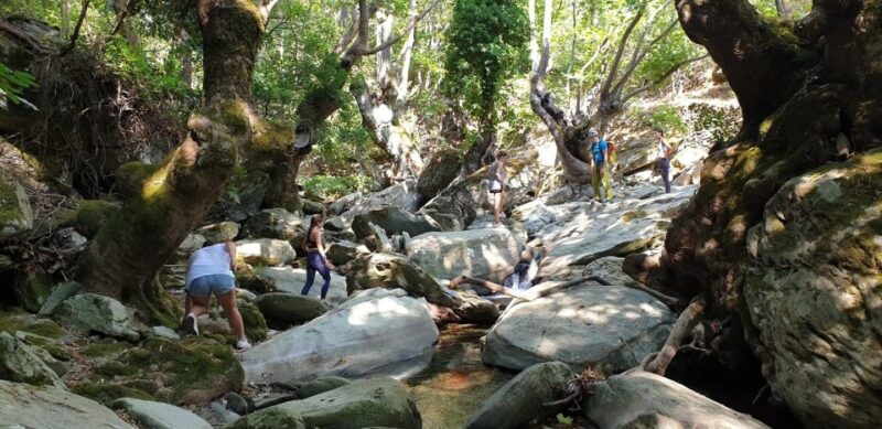 Andros: Achla River Trekking to the Waterfall - An In-Depth Look at the Achla River Trekking Experience