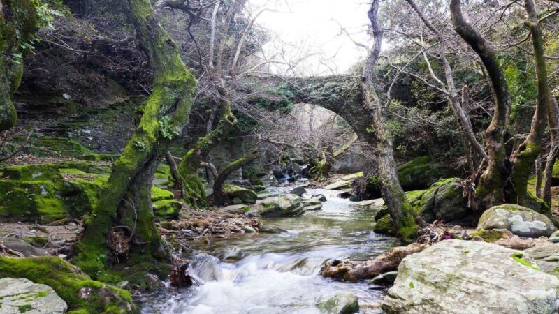 Andros: Achla River Trekking to the Waterfall - FAQ: Your Questions Answered