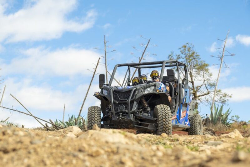 Anfi beach: Guided Buggy Tour. - Final Thoughts: Who Will Love This Tour?