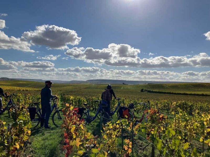 Angélique's electric bike tour in Champagne - Discovering the Champagne Region on Two Wheels