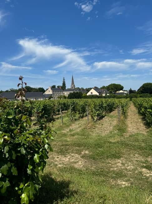 Angers: Ride on the banks of the Loire in electric Tuk Tuk - Key Points
