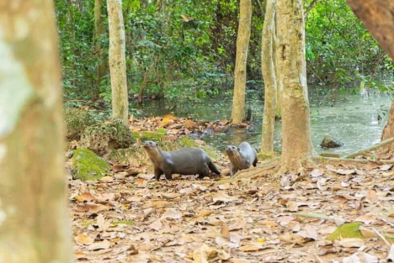 Angkor Bike tour & Gondola Sunset Boat - Key Points